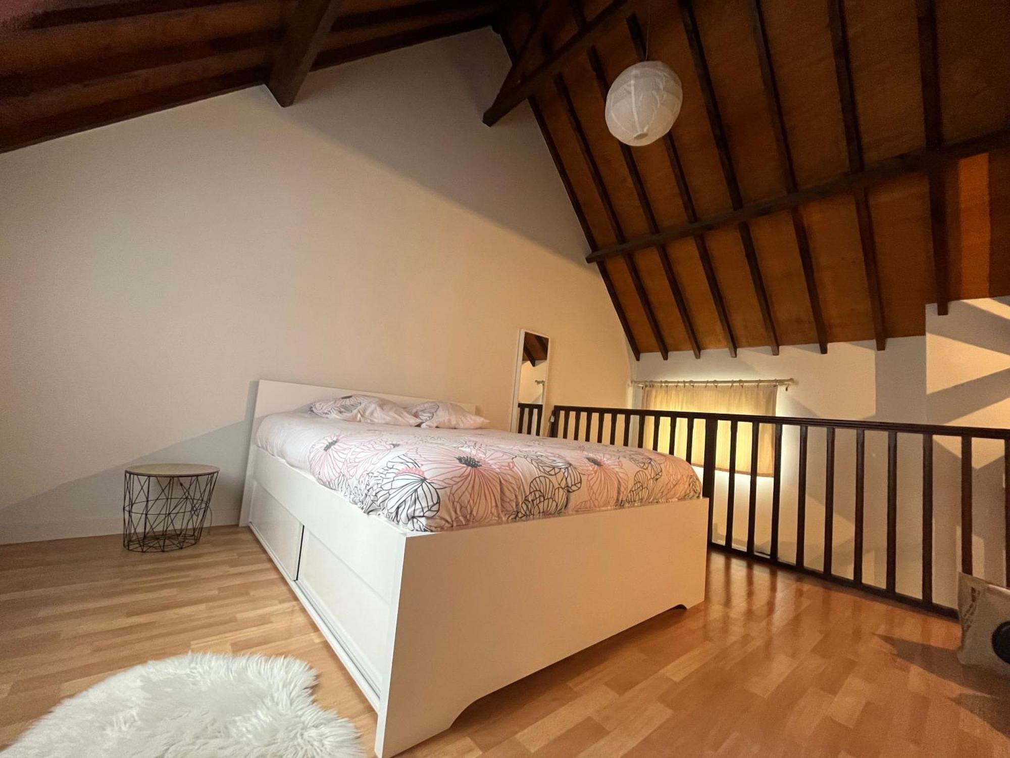 Le Mortier D'Or Duplex Hyper Centre Ville Троа Екстериор снимка