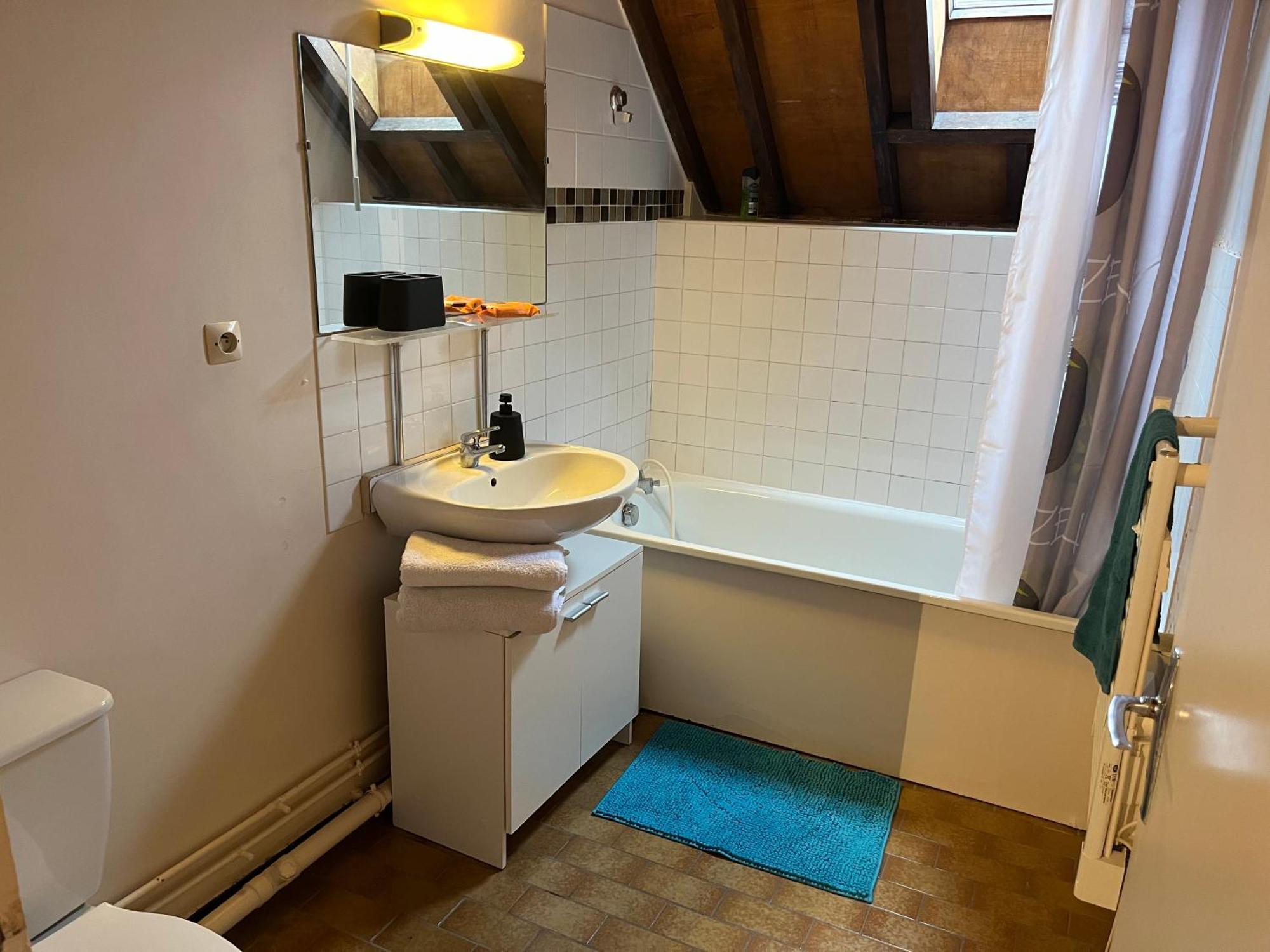 Le Mortier D'Or Duplex Hyper Centre Ville Троа Екстериор снимка